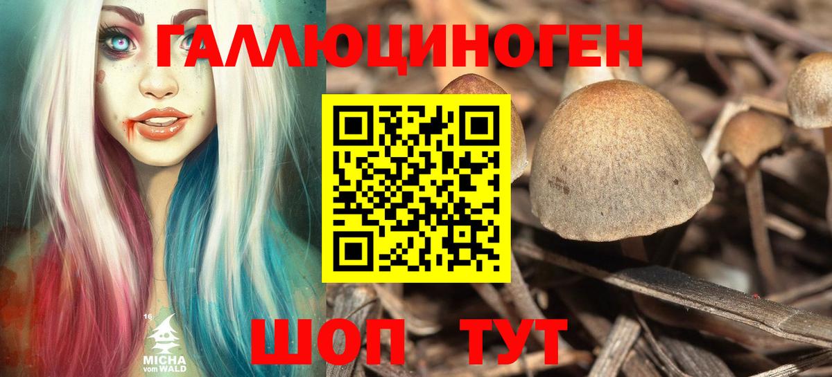 Псилоцибиновые грибы ЛСД  Вход с VPN  Москва 